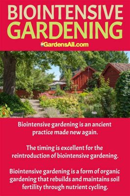 Biointensive Gardening: A Journey into Sustainable Abundance - Unlocking Nature's Bounty Through Innovative Techniques and African Wisdom